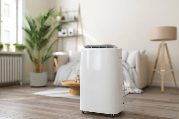 Best Air Filters and Purifiers in Westport, WA